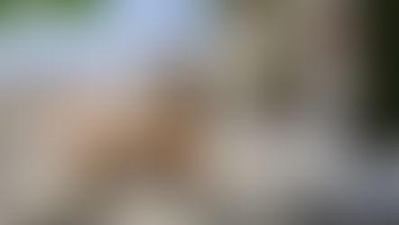 €150,000 | Santa Lucia de Tirajana Spain