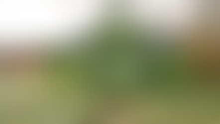 £120,000 | Old Schoolhouse, Logie, Montrose, Angus Scotland