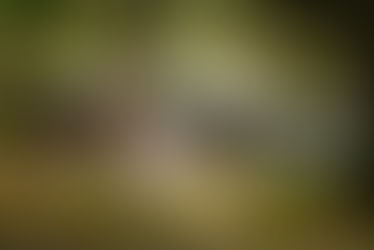 Vintage log cabin with pool house in Finland for €135,000