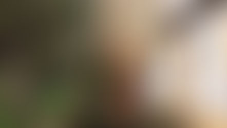 Rent: €670 | FUNDÃO - CASTELO BRANCO Portugal