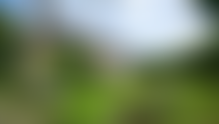 €149,330 | Saint-Hilaire-du-Harcouë France