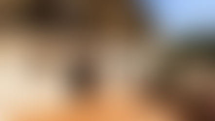 €49,950 | El Contador Spain