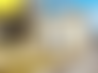 €49,500 | Ansac-sur-Vienne, Charente France