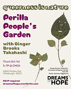 10.1.26 qin perilla.png