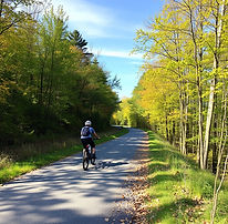 trail.jpg