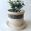 Thumbnail: Shiro-Kuro Desk Planter
