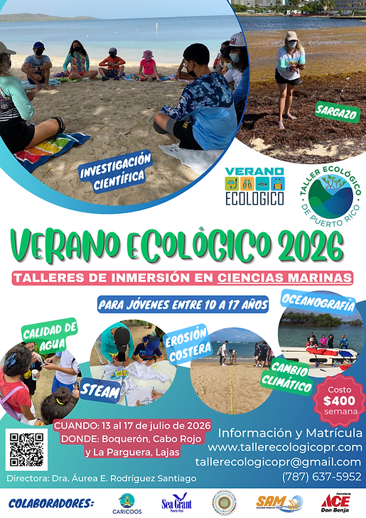Verano Ecológico 2026.png