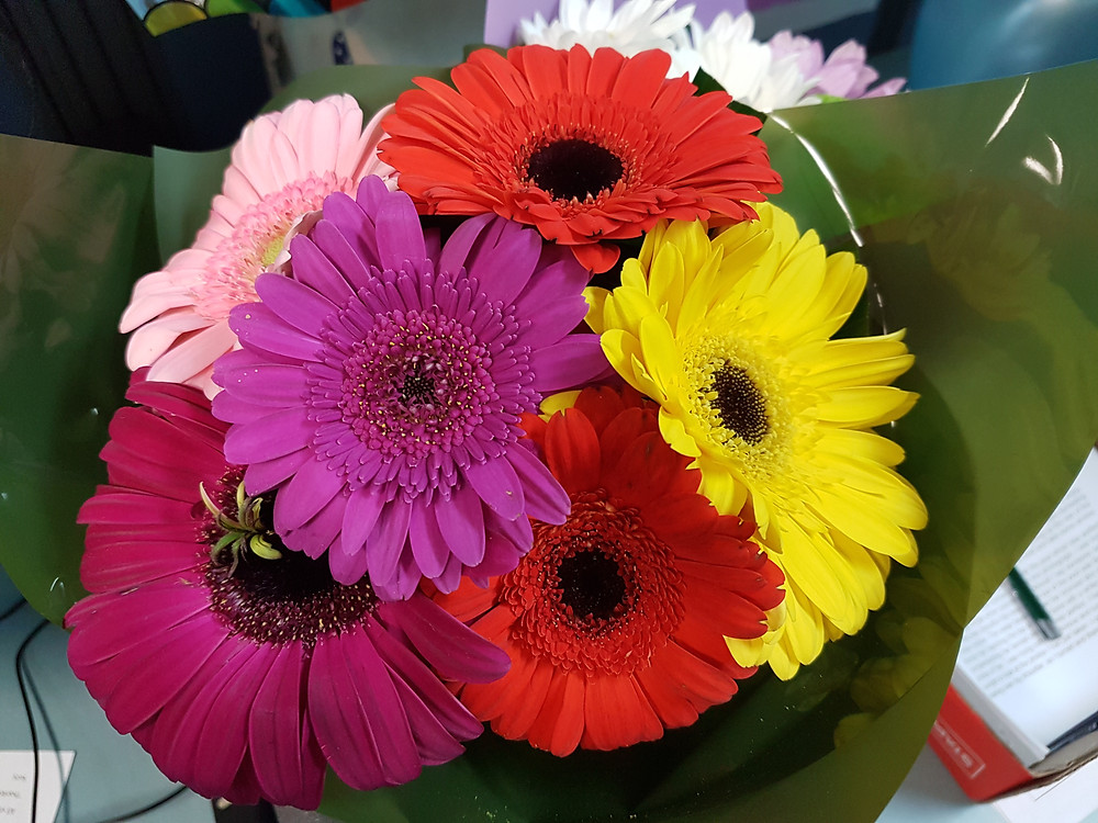 Flowers