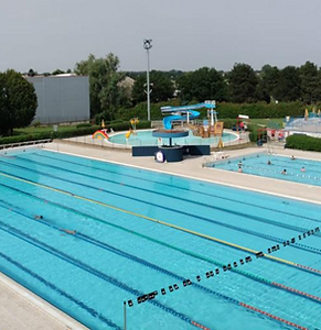 piscina-crema.png