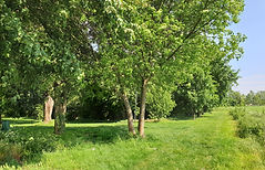20190521_163230.jpg
