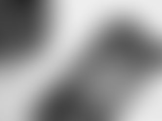 Instagram, TikTok, or LinkedIn: What Social Media Platform Should Your Business Use?