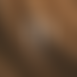 Meet Our Client: Velora