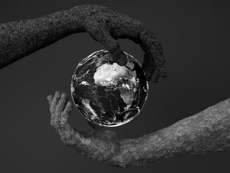 sustainable branding