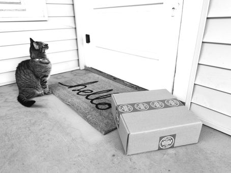 The Subscription Strategy in 2025: Are We Still Paying, or Is It Time to Unsubscribe?