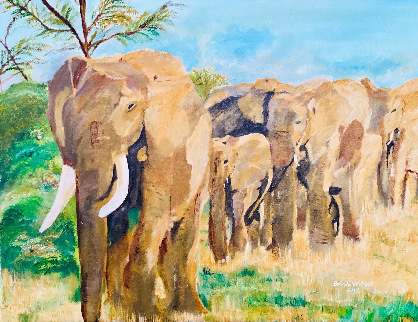 ELEPHANT HERD