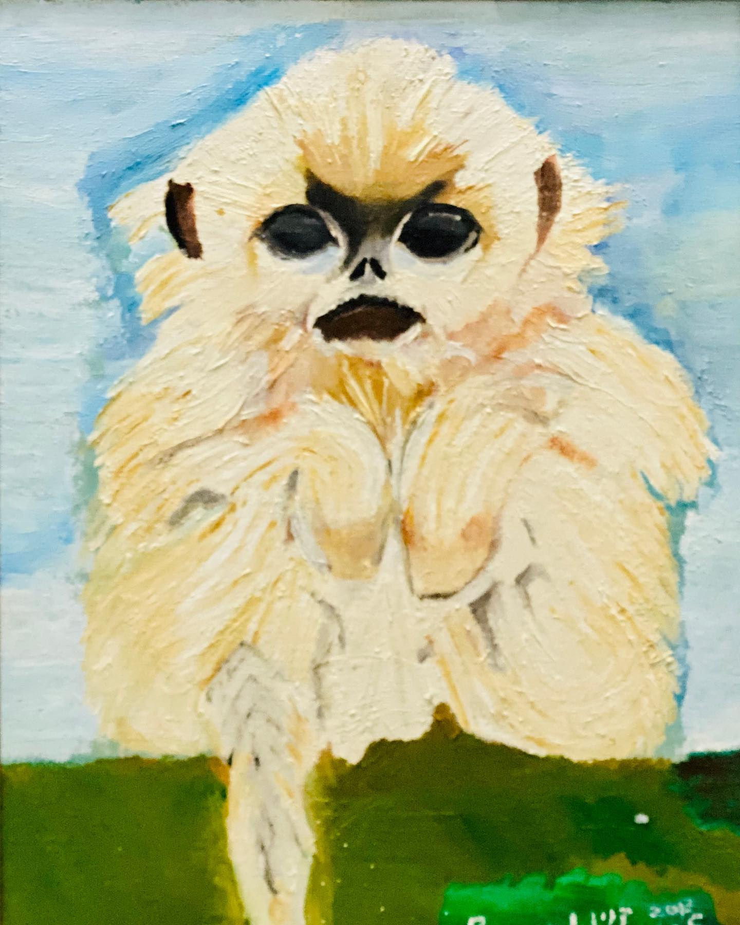 SPACE MONKEY