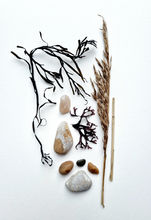 A vignette flatlay photograph of pebbles, stones and seaweed.
