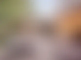 Designing for Indoor-Outdoor Living in Southern California