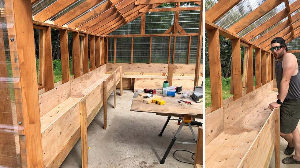 a family builds a greenhouse in interior Alaska with raised beds for producing harvest in zone 2&3