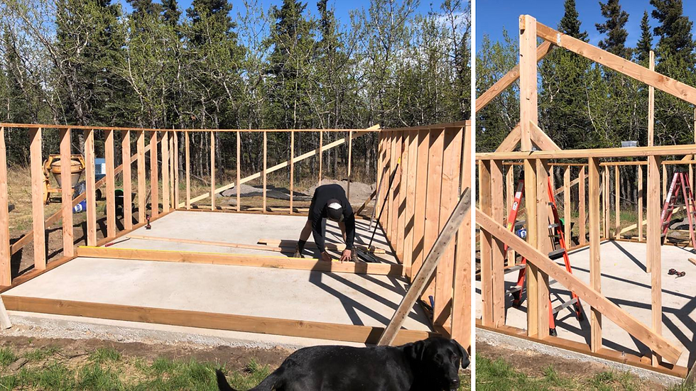 a family builds a greenhouse in interior Alaska with raised beds for producing harvest in zone 2&3