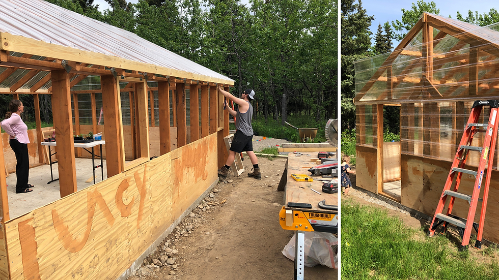 a family builds a greenhouse in interior Alaska with raised beds for producing harvest in zone 2&3