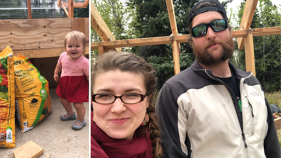 a family builds a greenhouse in interior Alaska with raised beds for producing harvest in zone 2&3