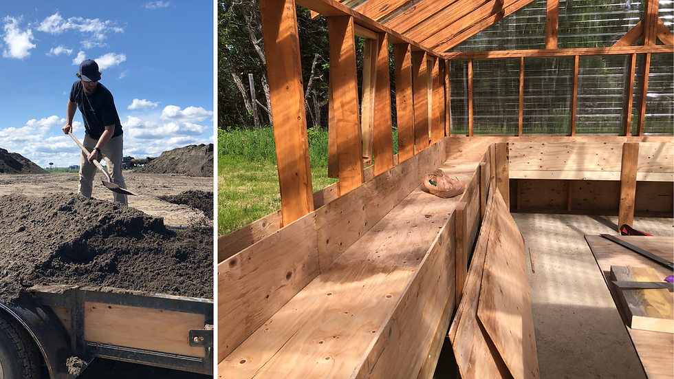 a family builds a greenhouse in interior Alaska with raised beds for producing harvest in zone 2&3