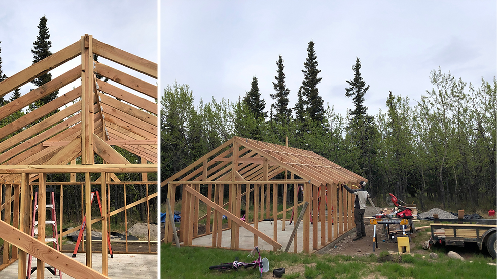 a family builds a greenhouse in interior Alaska with raised beds for producing harvest in zone 2&3
