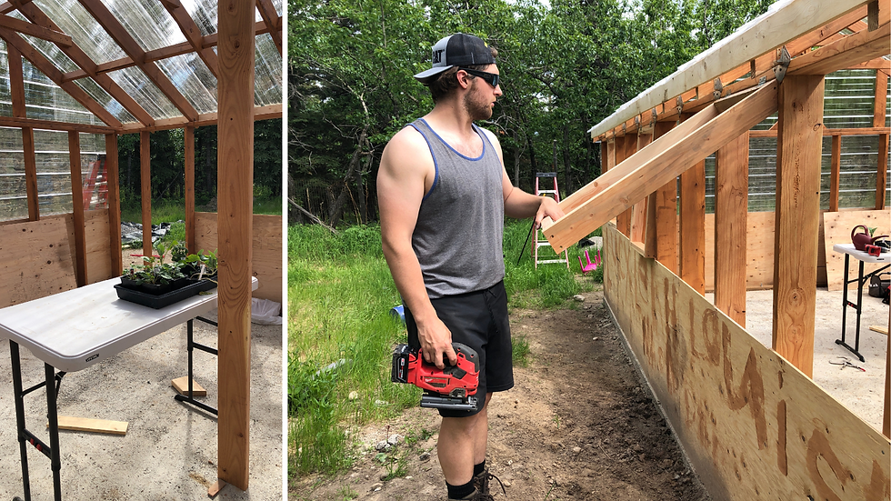 a family builds a greenhouse in interior Alaska with raised beds for producing harvest in zone 2&3