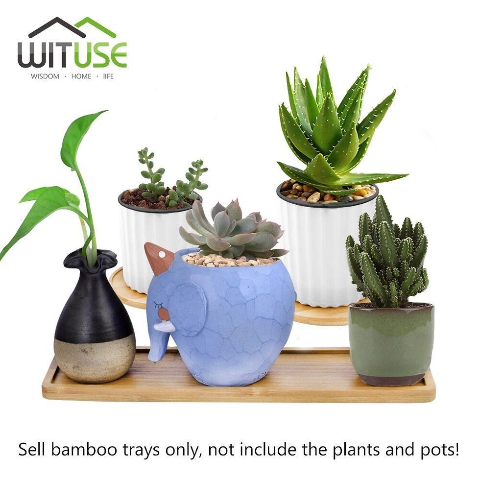 Thumbnail: Flower Pots Nursery Planter Bamboo Tray Anti-Fade 14 Style Home Decor