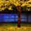 Thumbnail: 10 Tabebuia Seeds 