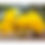 Thumbnail: 10 Tabebuia Seeds 