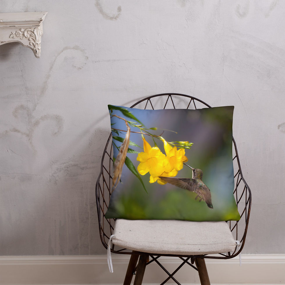 Thumbnail: Decorative Hummingbird Tabebuia Pillow