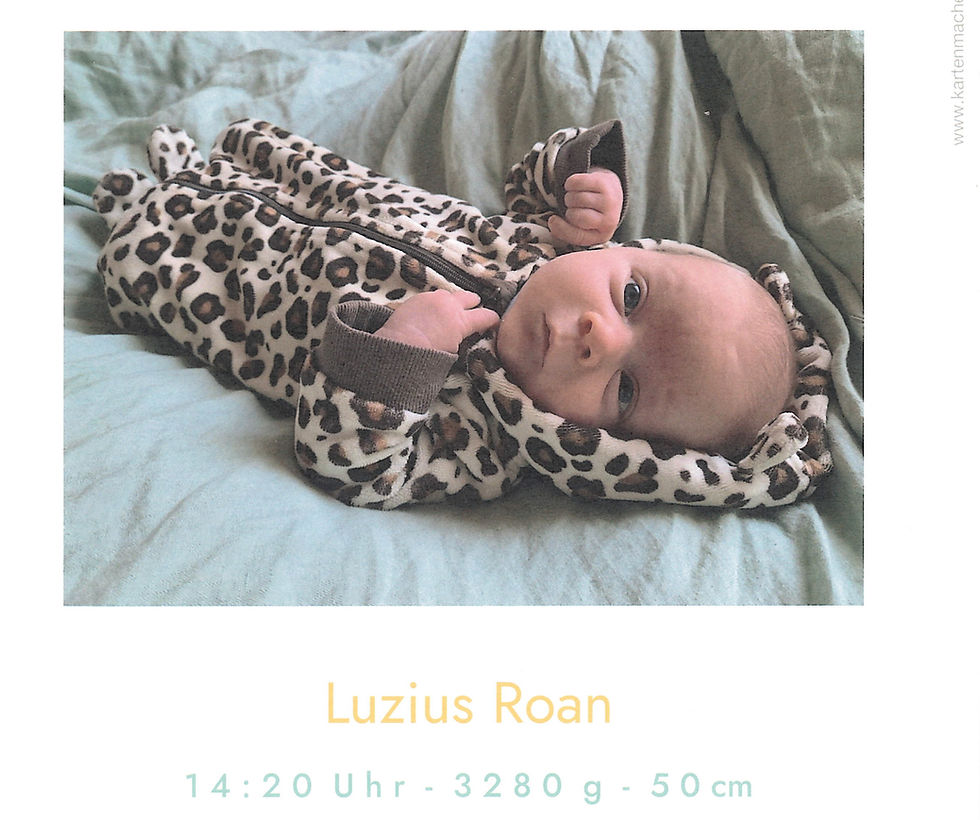 Willkommen Luzius Roan