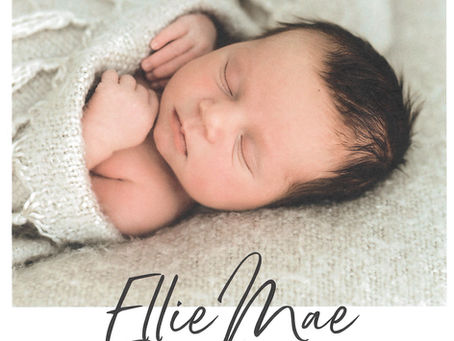 Willkommen Ellie Mae