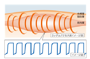 ランダムアクセス波イメージ図.png