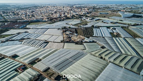 Invernaderos en Almería: todo lo que necesitas saber.