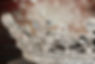AdobeStock_177233199.jpeg