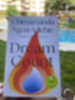 Cover of the book Dream Count by Chimamanda Ngozi Adichie. White cover, black text and a tear shaped illustration in fire and water colours. Swimming pool scene background.