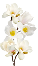 Corporate Event Band