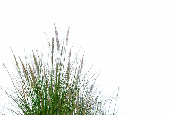 AdobeStock_278997958.jpeg