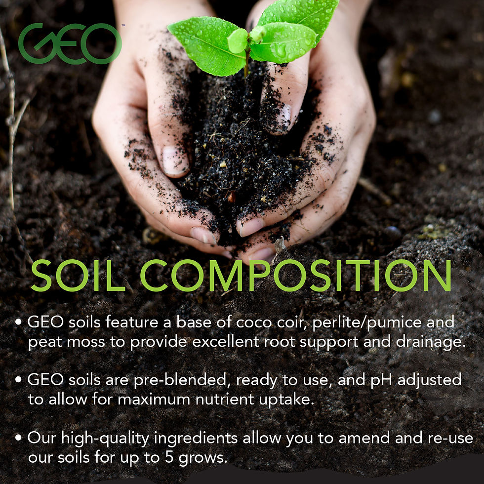 AQUA Integrated Branding & Design | Brand Strategy & Creative Agency Canada