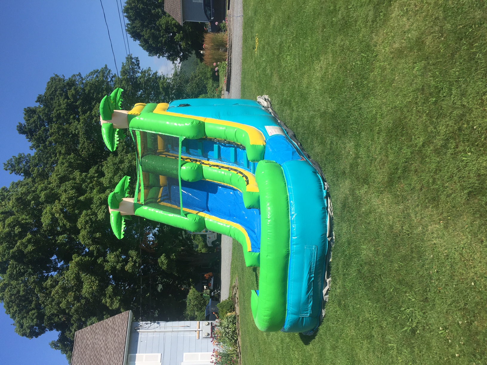 Summer Splash