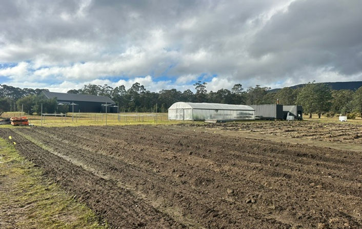 farm.JPG