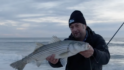 THE PURSUIT OF STRIPED BASS