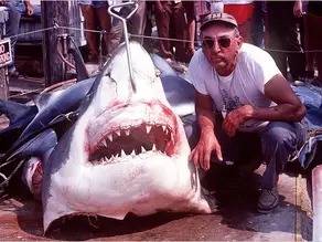 JAWS - The last interview with Frank Mundus