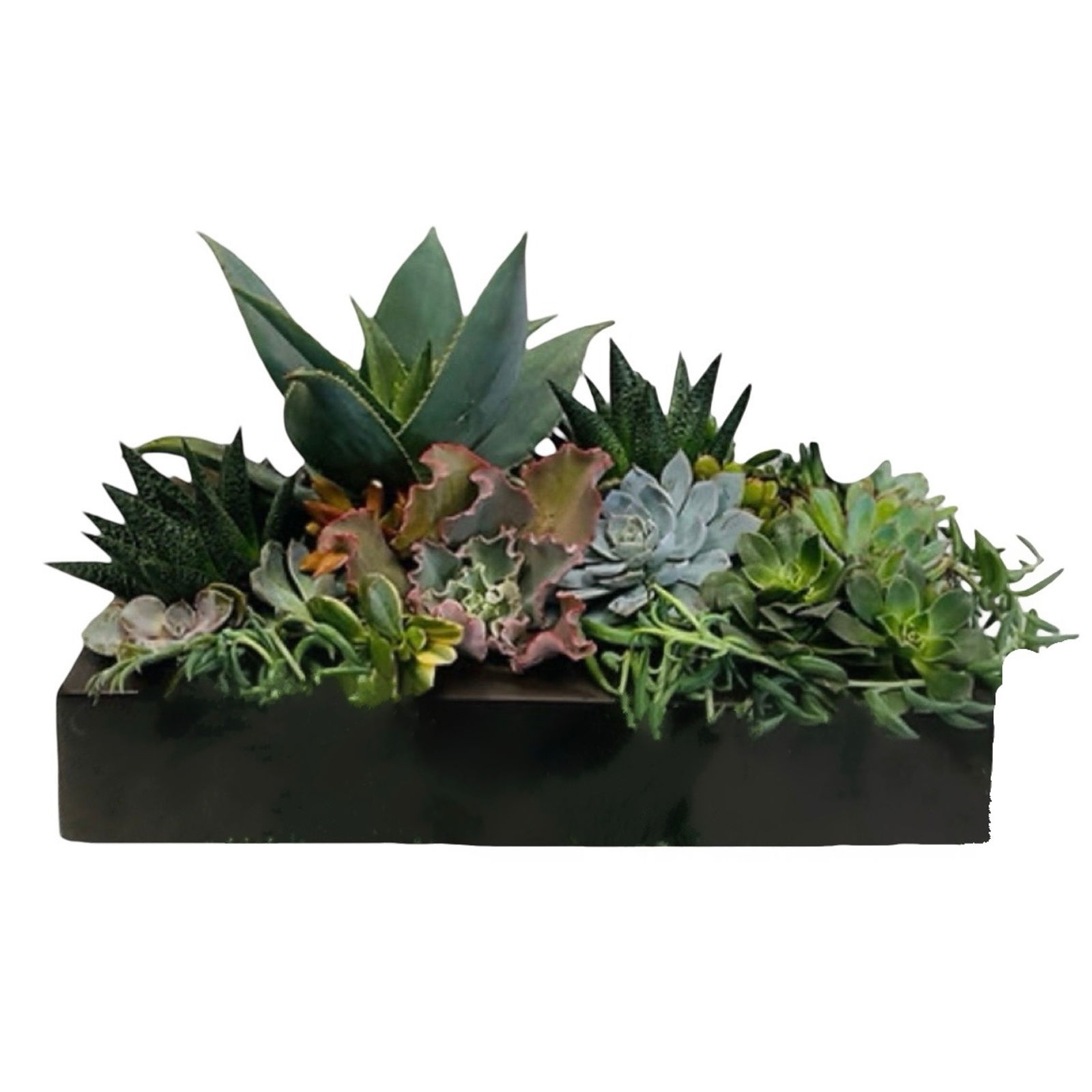 California Planter