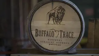 BUFFALO 2.webp