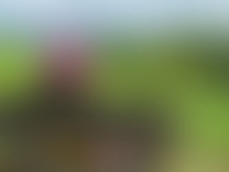 The art of living well