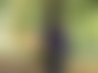 The fleeting nature of time